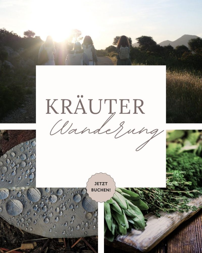 Kräuterwanderung