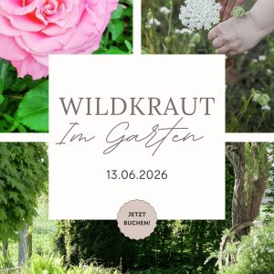 Wildkräuter im Garten 13.06.2026