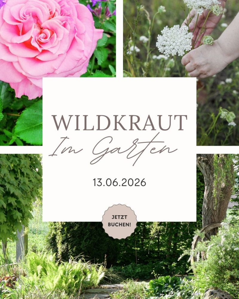 Wildkraut im Garten